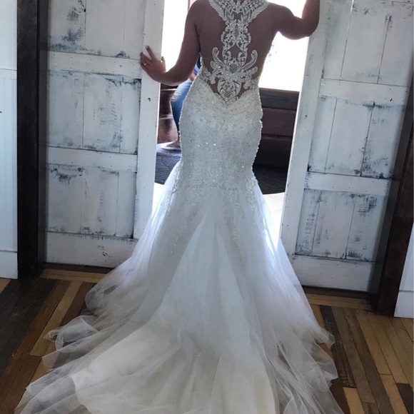 Ivory - Picture 4 of 4